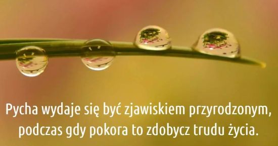 31.08.2025 - 22 Niedziela Zwykła