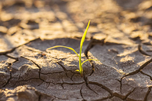 05.10.2025 - 27 niedziela w ciągu roku